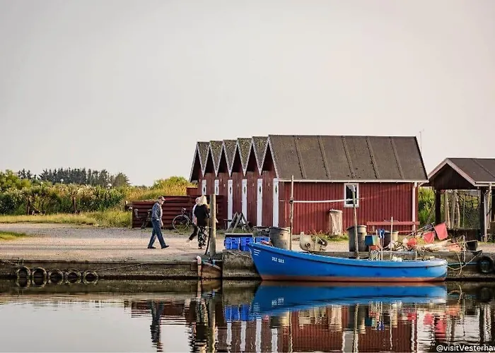 Ferienhaus C11114-hemmet-bork-hytteby-215